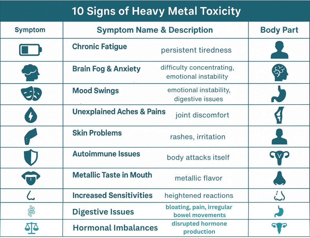 An infographic listing the 10 signs of heavy metal toxicity, including fatigue, brain fog, and digestive issues.