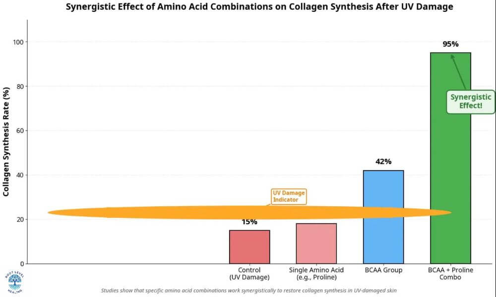 A chart comparing the minimal effect of single amino acids on collagen synthesis versus the significant boost from synergistic amino acid combinations after UV damage.