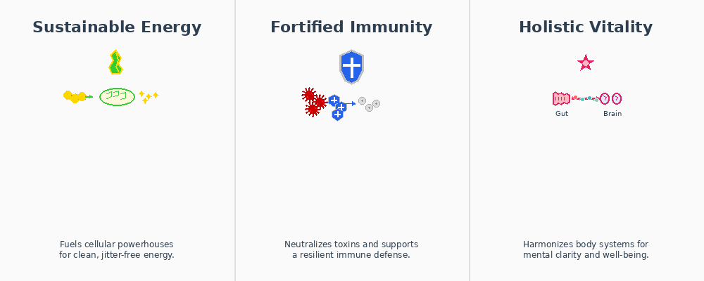 An infographic illustrating the Daily Wellness Trinity: Energy (mitochondria), Immunity (immune cells), and Vitality (a glowing human silhouette).