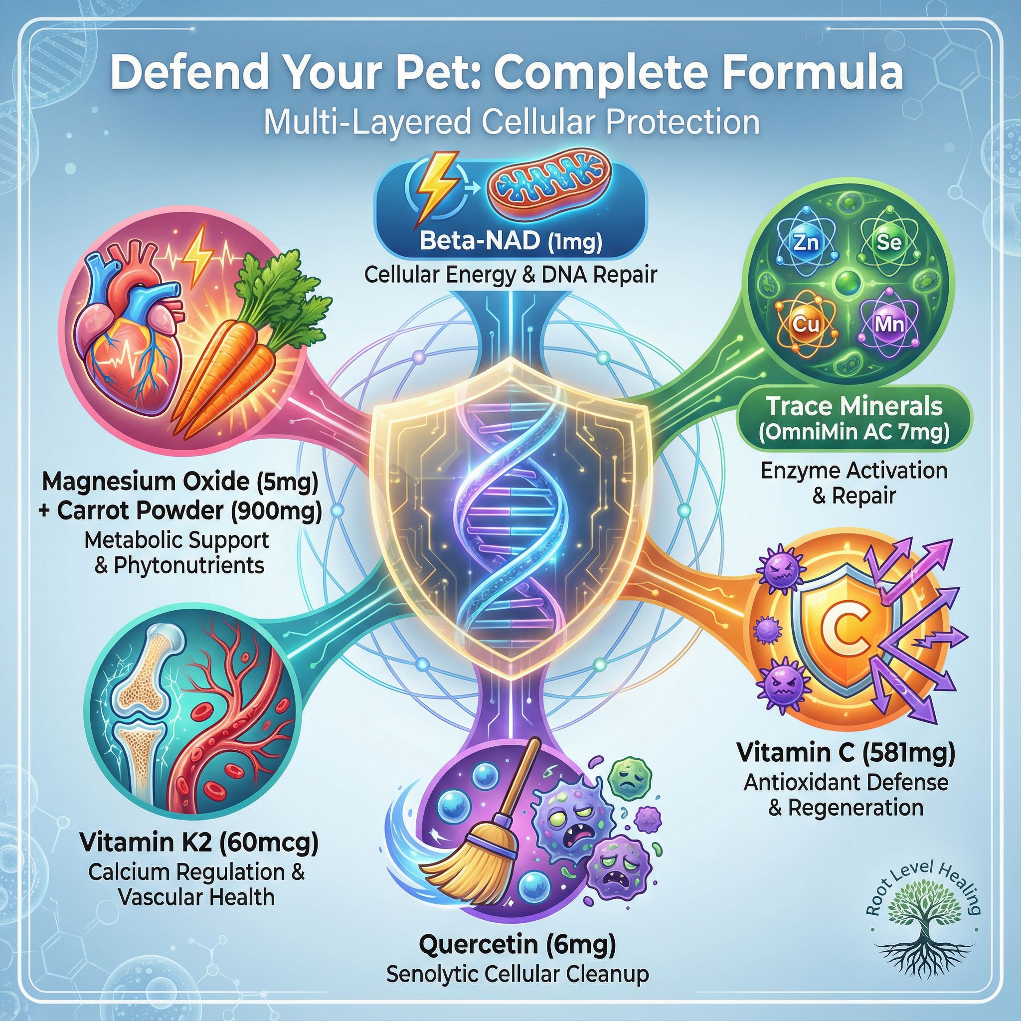 Infographic showing Defend Your Pet's complete formula with six key ingredient categories radiating from central DNA shield: beta-NAD for cellular energy, trace minerals for DNA repair, vitamin C for antioxidant defense, quercetin for senolytic cleanup, vitamin K2 for mitochondrial protection, and magnesium plus carrot powder for metabolic support in pets