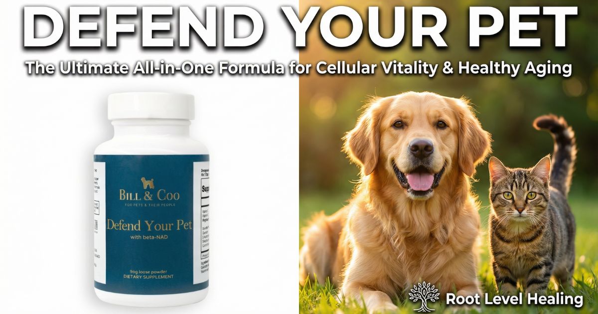 Defend Your Pet supplement bottle with golden retriever and tabby cat in outdoor setting, showing the ultimate all-in-one formula for cellular vitality and healthy aging with beta-NAD, trace minerals, vitamins, and quercetin for modern dogs and cats.