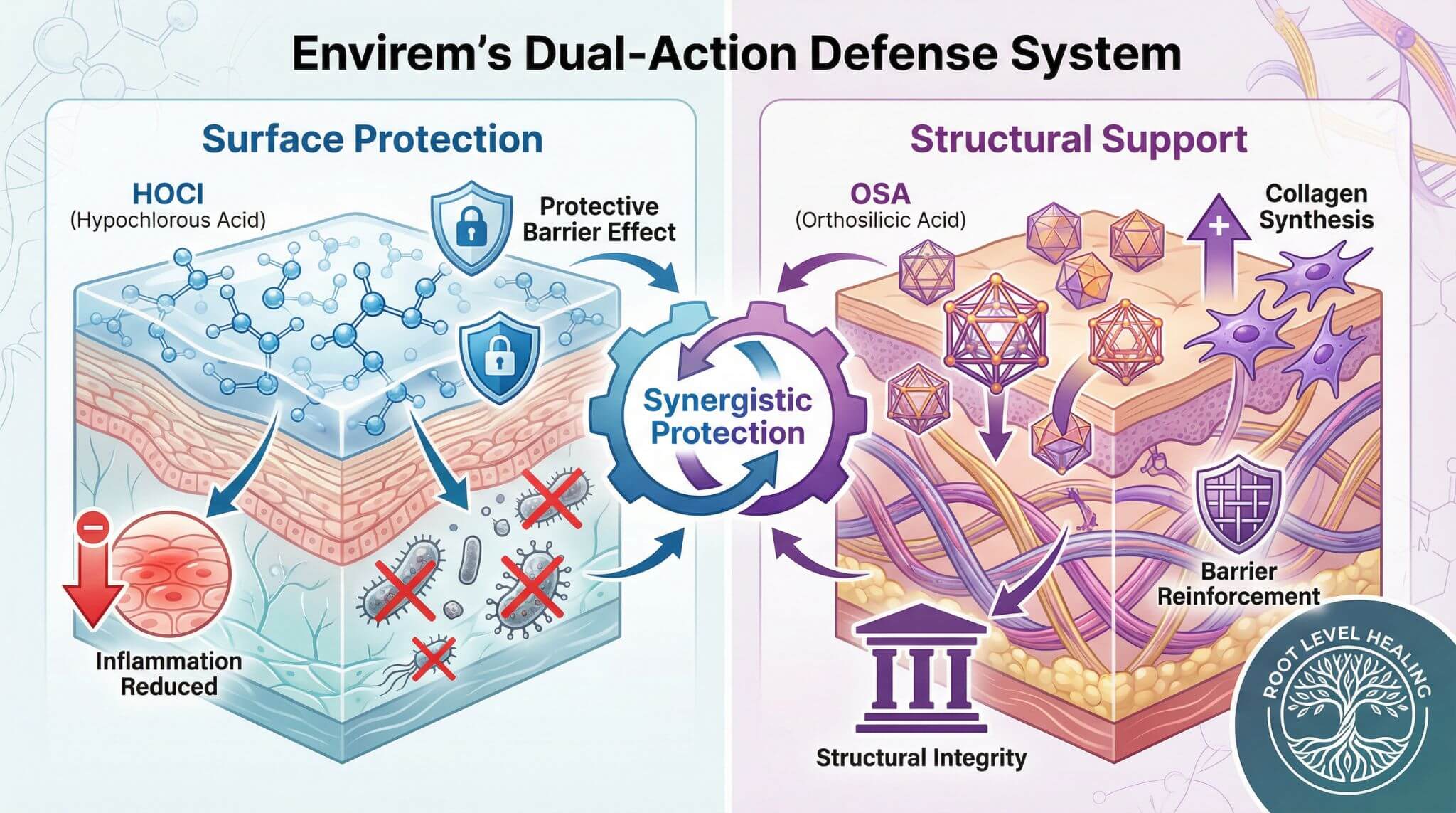Infographic showing Envirem's dual-action defense system with HOCl providing surface protection and OSA providing structural support.