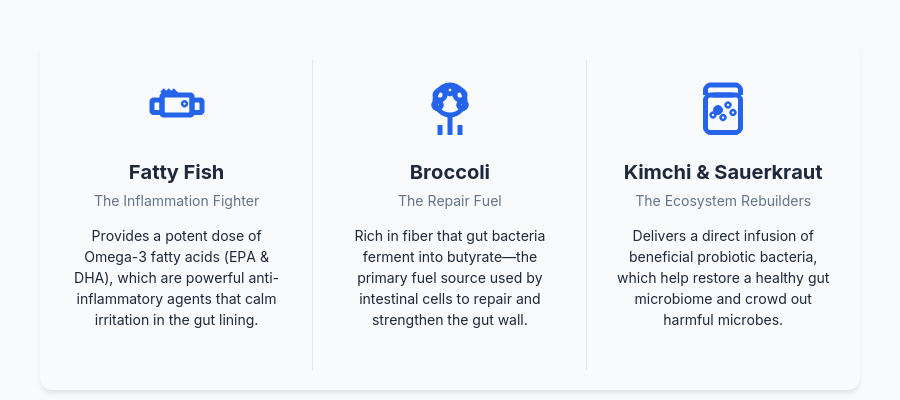 An infographic detailing three gut healing foods: fatty fish, broccoli, and fermented foods.