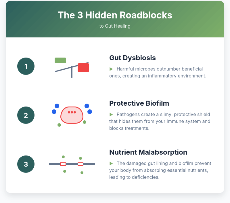 An infographic showing the three hidden roadblocks to gut healing: Dysbiosis, Biofilm, and Nutrient Gaps.