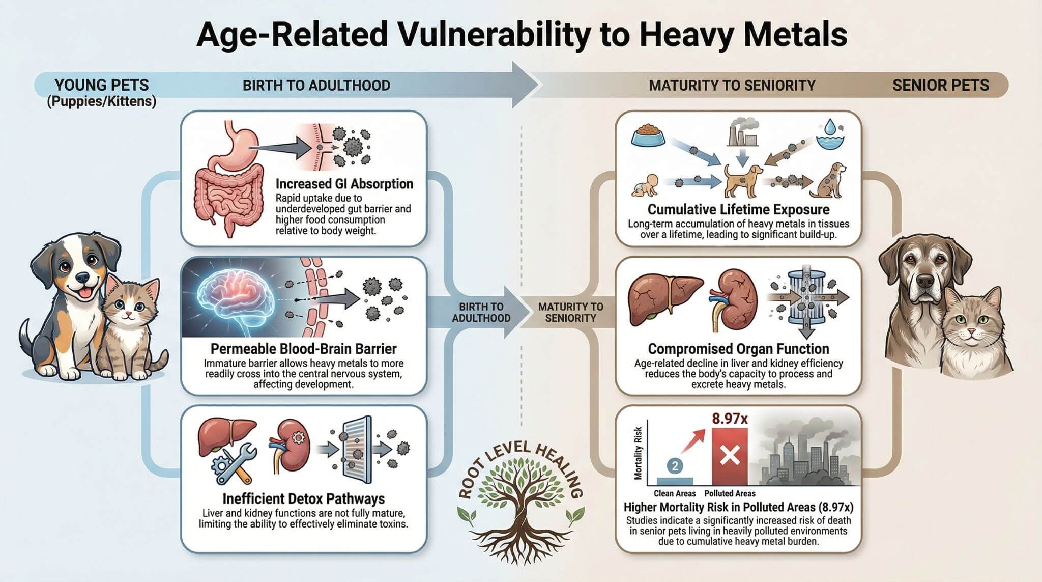 Infographic comparing the vulnerability of young and senior pets to heavy metals.