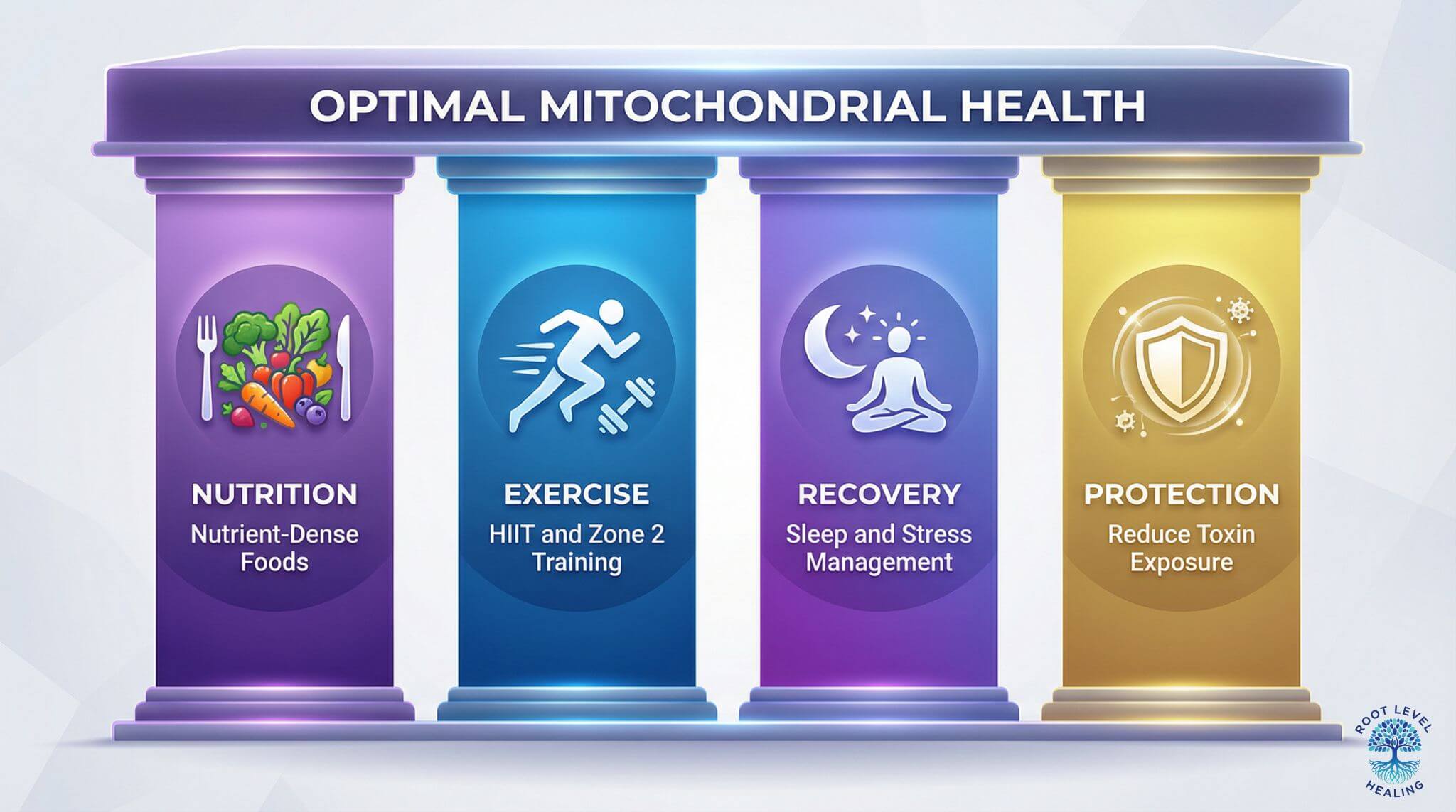 The 4 pillars of mitochondrial health infographic showing nutrition with nutrient-dense foods, exercise with HIIT and Zone 2 training, recovery with sleep and stress management, and protection through toxin reduction