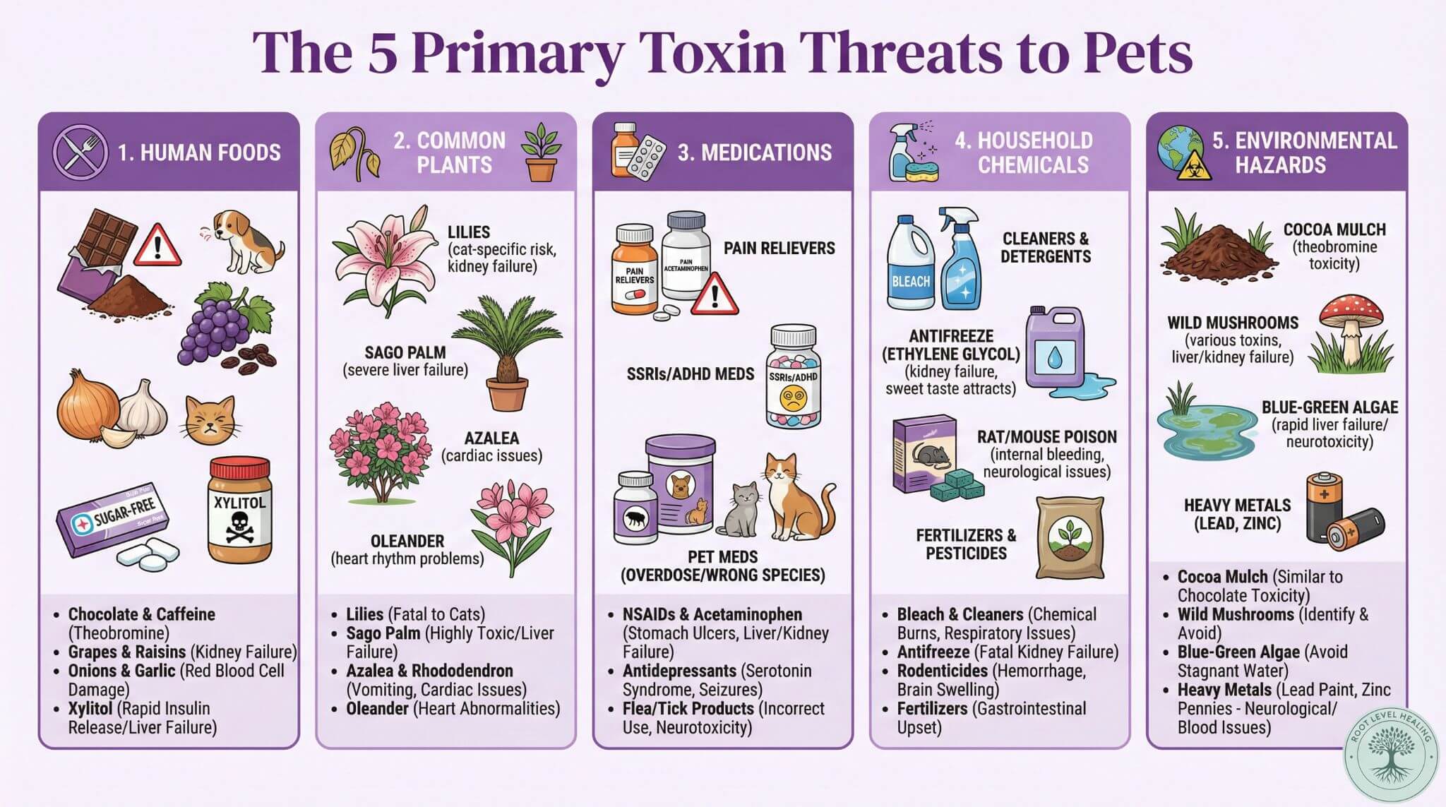The 5 Primary Toxin Threats to Pets: Heavy Metals, Pesticides & Herbicides, Environmental Toxins, Food Additives, and Pharmaceutical Residues