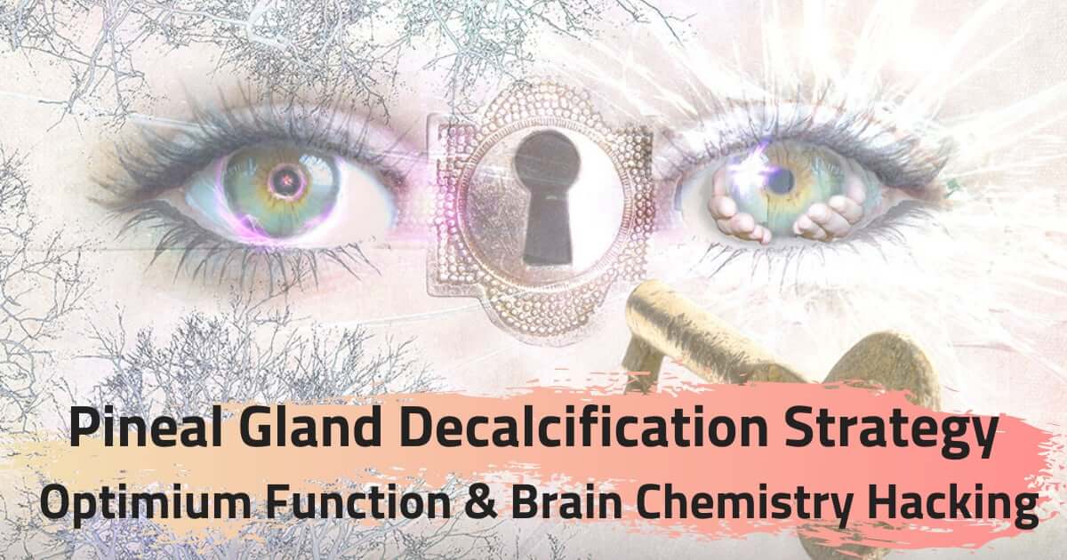Video thumbnail for Pineal Gland Detoxification Strategy