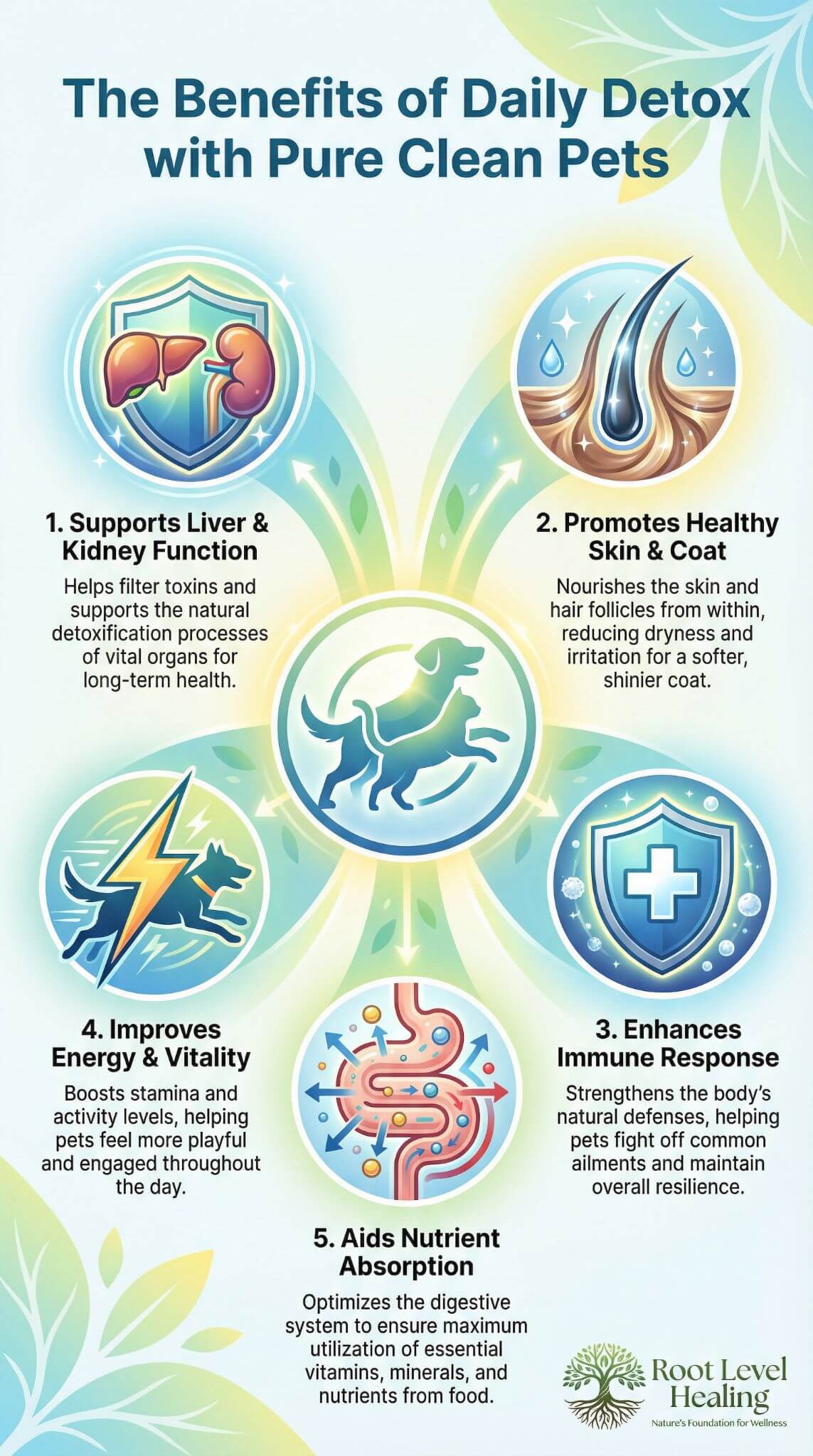 Infographic showing the comprehensive health benefits of Pure Clean Pets detoxification