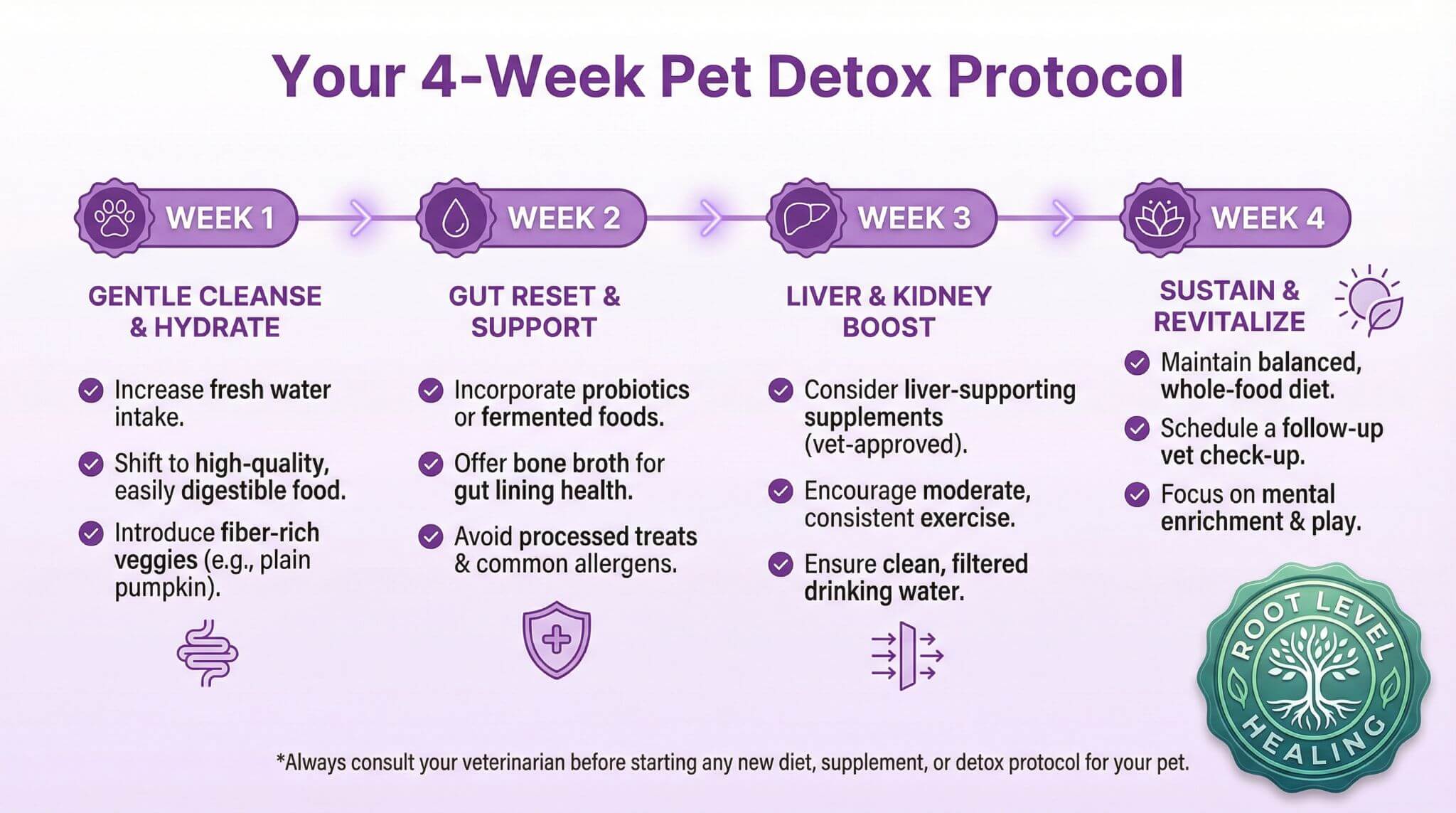 A 4-week timeline visual for the pet detox protocol, showing each phase and its key actions