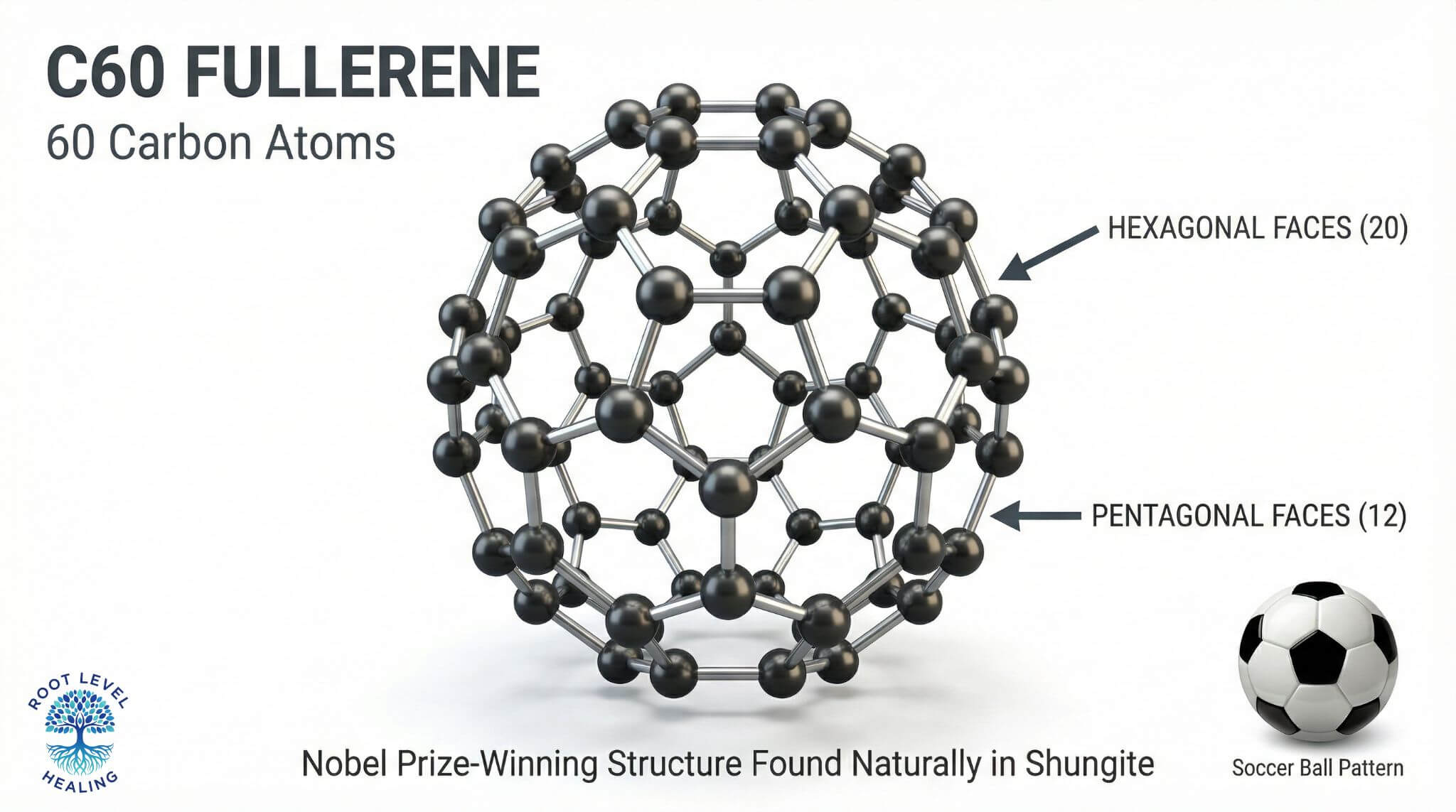 Molecular structure diagram of C60 fullerene showing 60 carbon atoms arranged in soccer ball pattern