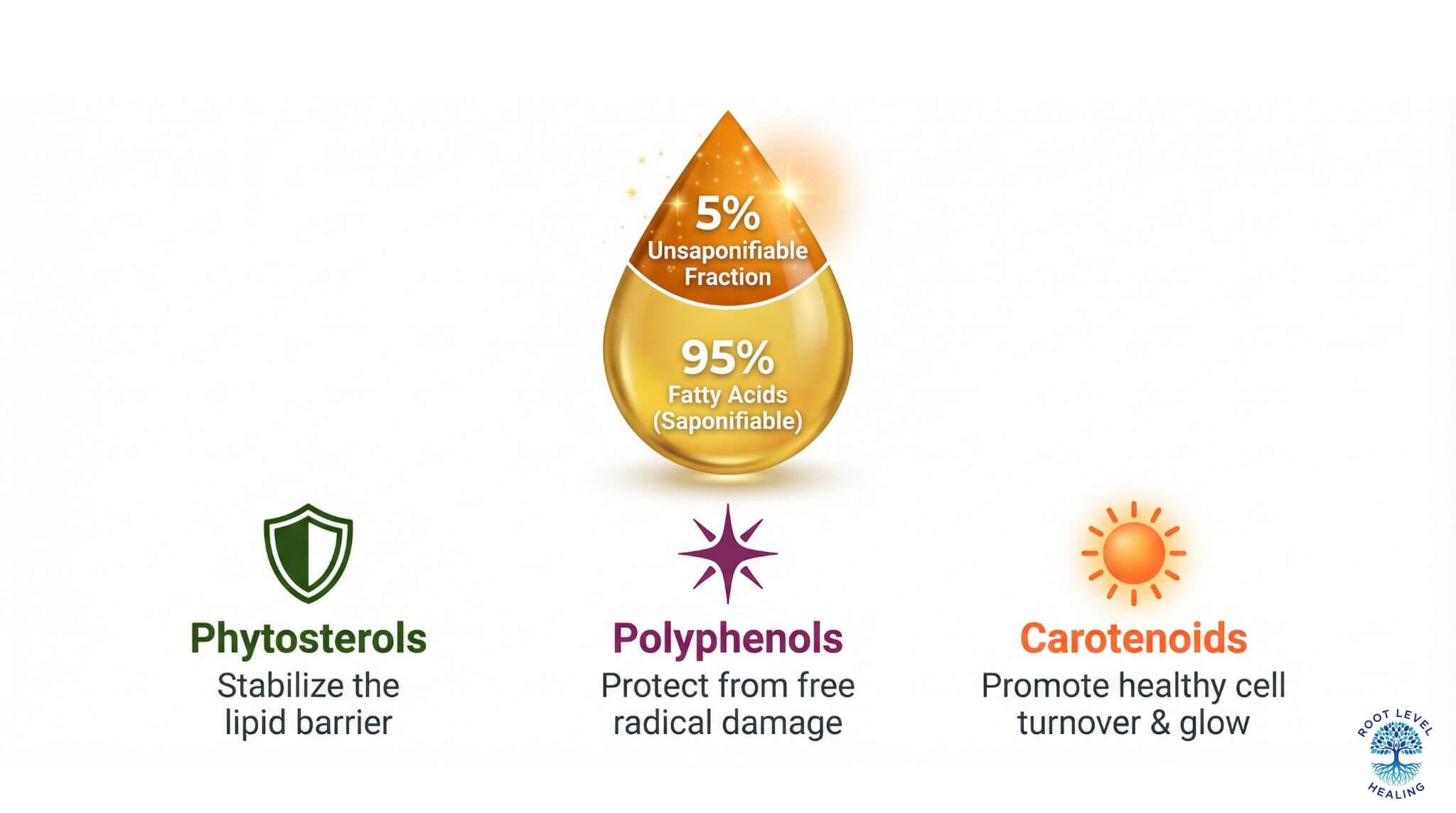 Infographic illustrating the unsaponifiable fraction of plant oils, showing phytosterols, polyphenols, and carotenoids and their skin benefits.