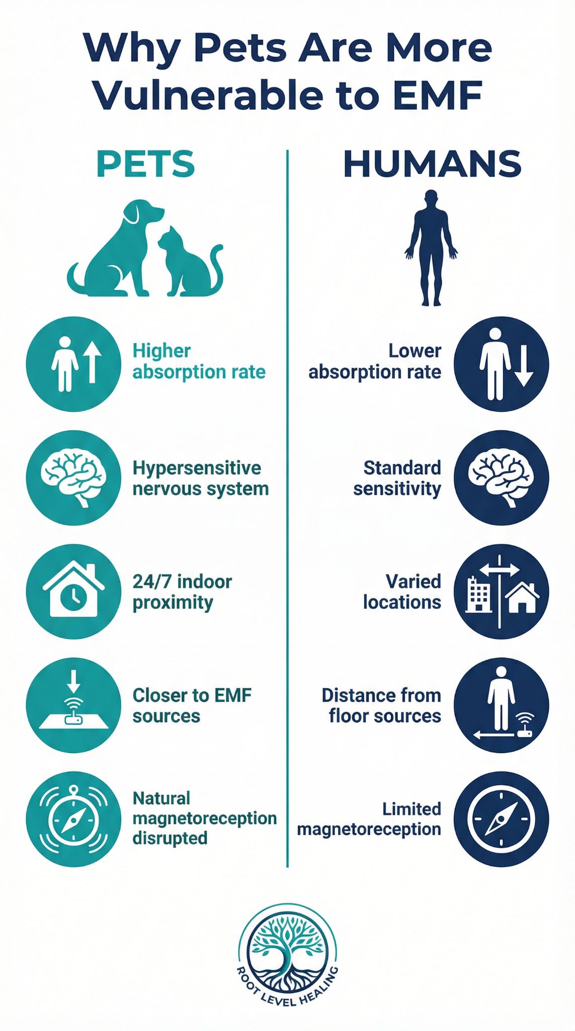 Comparison infographic showing why pets, dogs, and cats are more vulnerable to EMF and 5G radiation than humans, highlighting higher absorption rate, hypersensitive nervous system, 24/7 indoor proximity, closer to EMF sources, and natural magnetoreception disrupted