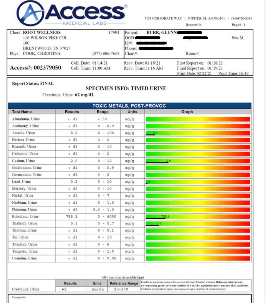Lab Report 2 - Mid-Detox
